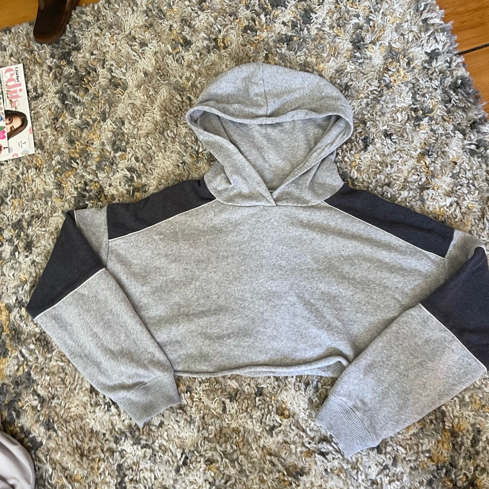 AE cropped hoodie